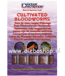 On Blister Cultivated Bloodworms