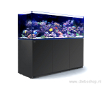 Red Sea Reefer G2+ 750XXL Zwart 