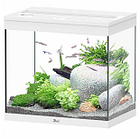 Aquatlantis aquarium Splendid 60 Cleansys Pro Wit