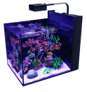 RED SEA MAX NANO PENINSULA  EXCL. MEUBEL