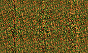 Tetra Micro pellets <br>100 ml