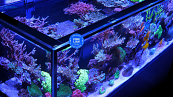 RED SEA REEFER MAX PENINSULA S 700 G3 BLACK