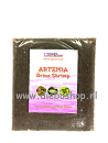 On Flatpack Artemia