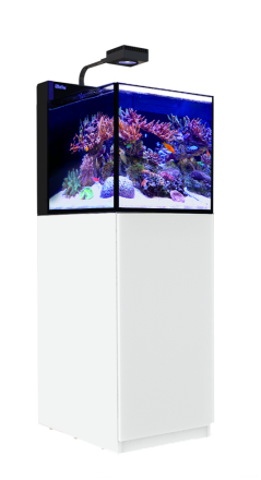 RED SEA MAX NANO PENINSULA  WIT