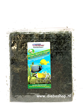 On Green Marine Algae
