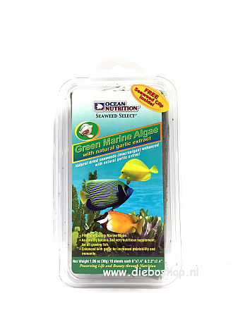 On Green Marine Algae