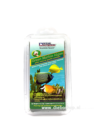 On Green Marine Algae