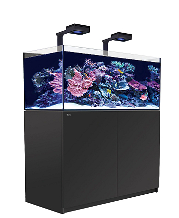 Red Sea Reefer G2+ Deluxe XL 425 Zwart RL160