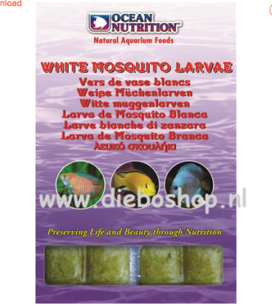 On Blister White Mosquito Larvae