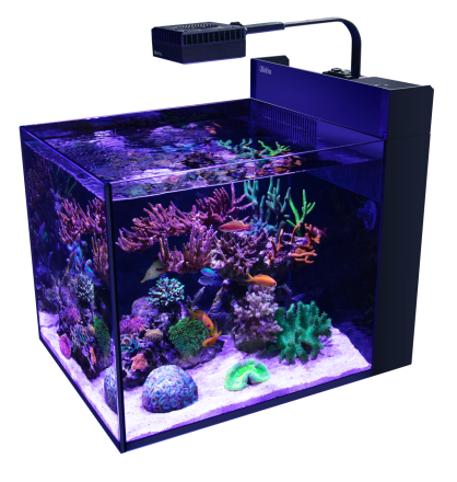 RED SEA MAX NANO PENINSULA ZWART
