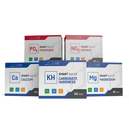 REEF FACTORY MG TEST