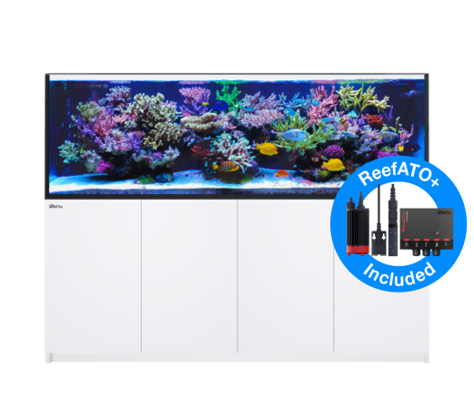 Red Sea Reefer G2+ 3XL 900 Deluxe Wit 4XRL90