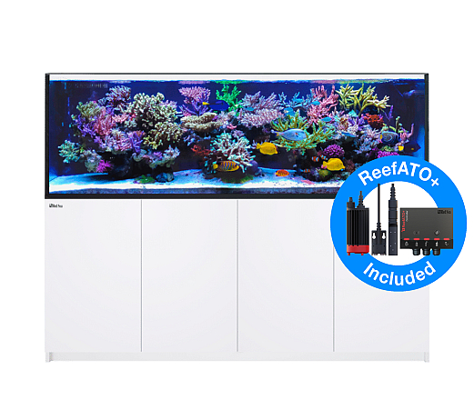 Red Sea Reefer G2+ Deluxe XXL 900 Wit RL160