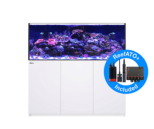 Red Sea Reefer G2+ Deluxe XXL 625 Wit RL160