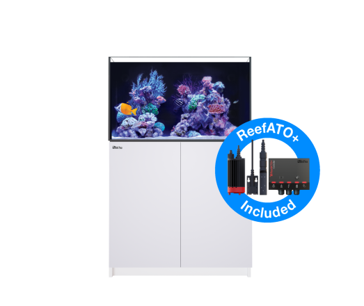 RED SEA REEFER G2+ 250 WIT