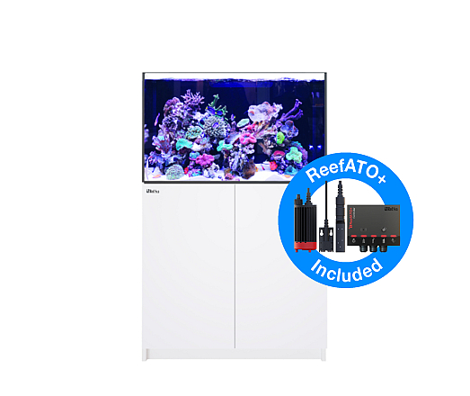 Red Sea Reefer G2+ 300XL Wit