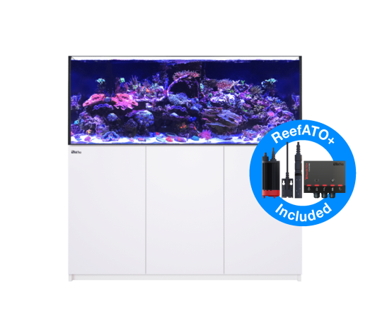 Red Sea Reefer G2+ 625XXL Wit