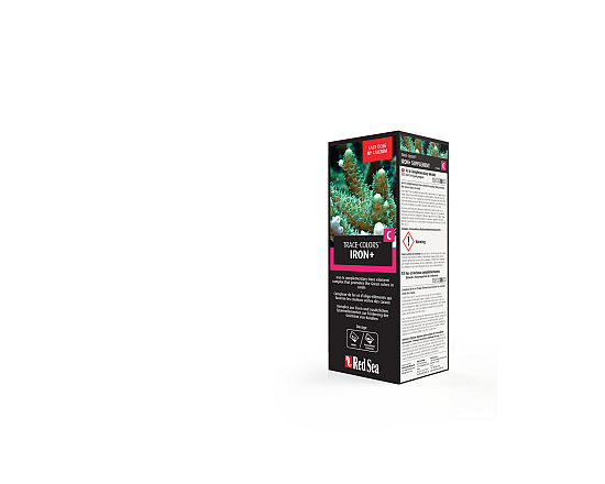 Red Sea Coral Colors C