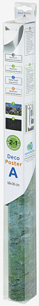 SuperFish Deco poster A